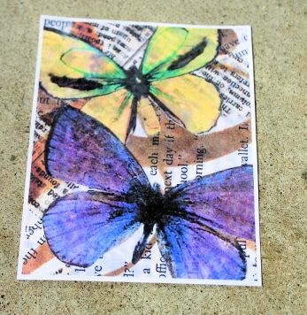 butterfly card with description